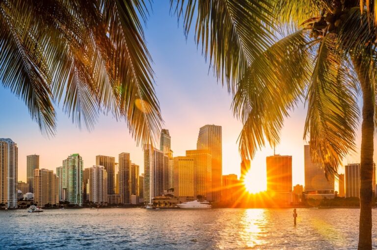 The Rise of South Florida: How Major Tech and Financial Companies Are Transforming the Sunshine State